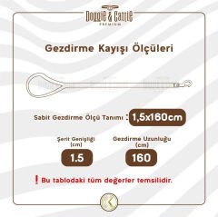 Doggie Konfor Dokuma Gezdirme Kayışı Turuncu 1.5*160 Cm (DGZT-15)