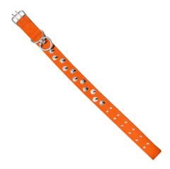 Dokuma Çivili Köpek Boyun Tasması - 4*70 cm - Turuncu